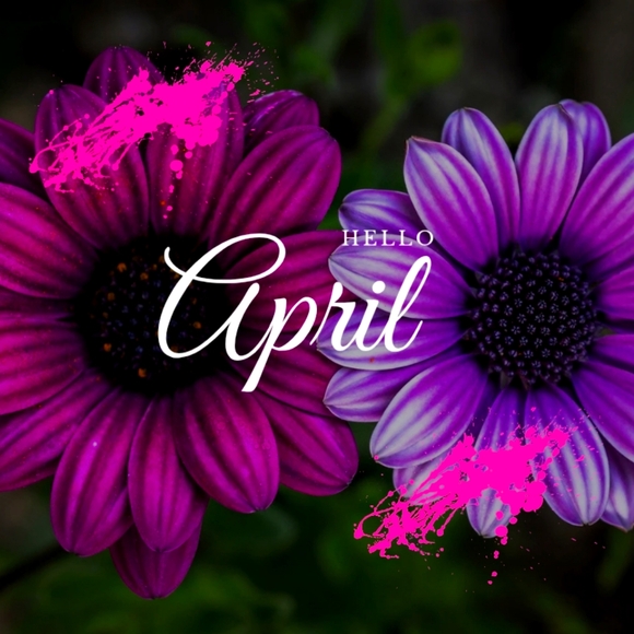 🛍Sale - Picture 3 of 16